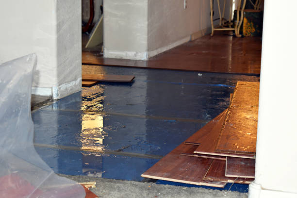 Professional Flood Damage Restoration technician working in Palisades, NY